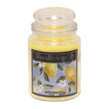 Amalfi Citrus Large Candle