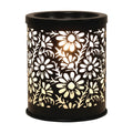 Black Shadow Daisy Melter