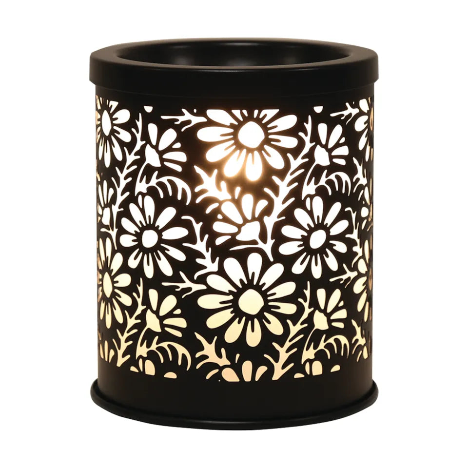 Black Shadow Daisy Melter